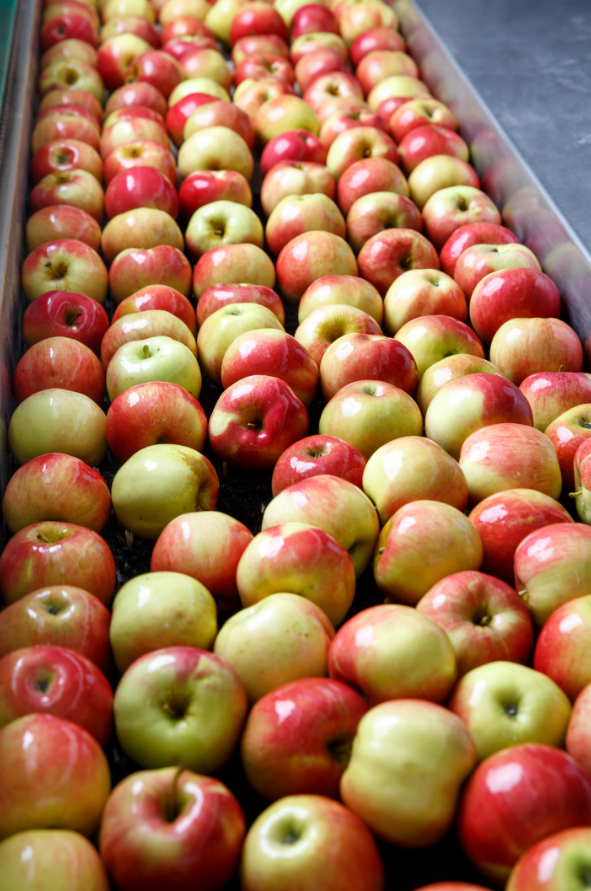 Food &amp; Beverage Inspection<br />